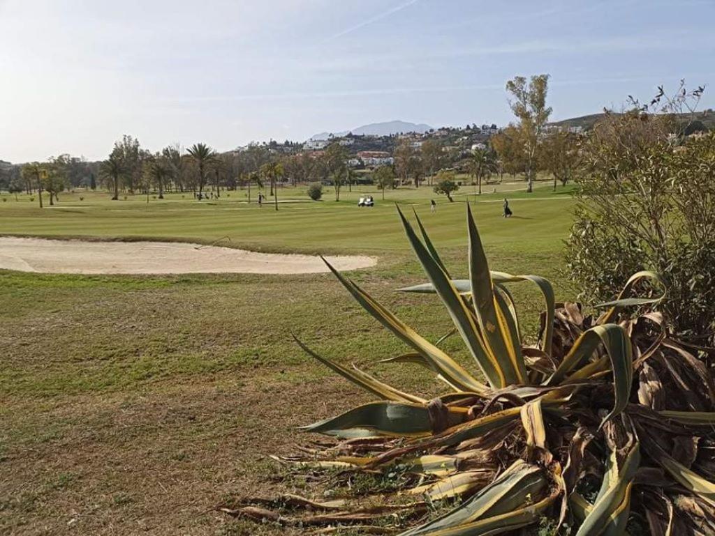 Le Joyau Andalou Apartman Estepona Kültér fotó